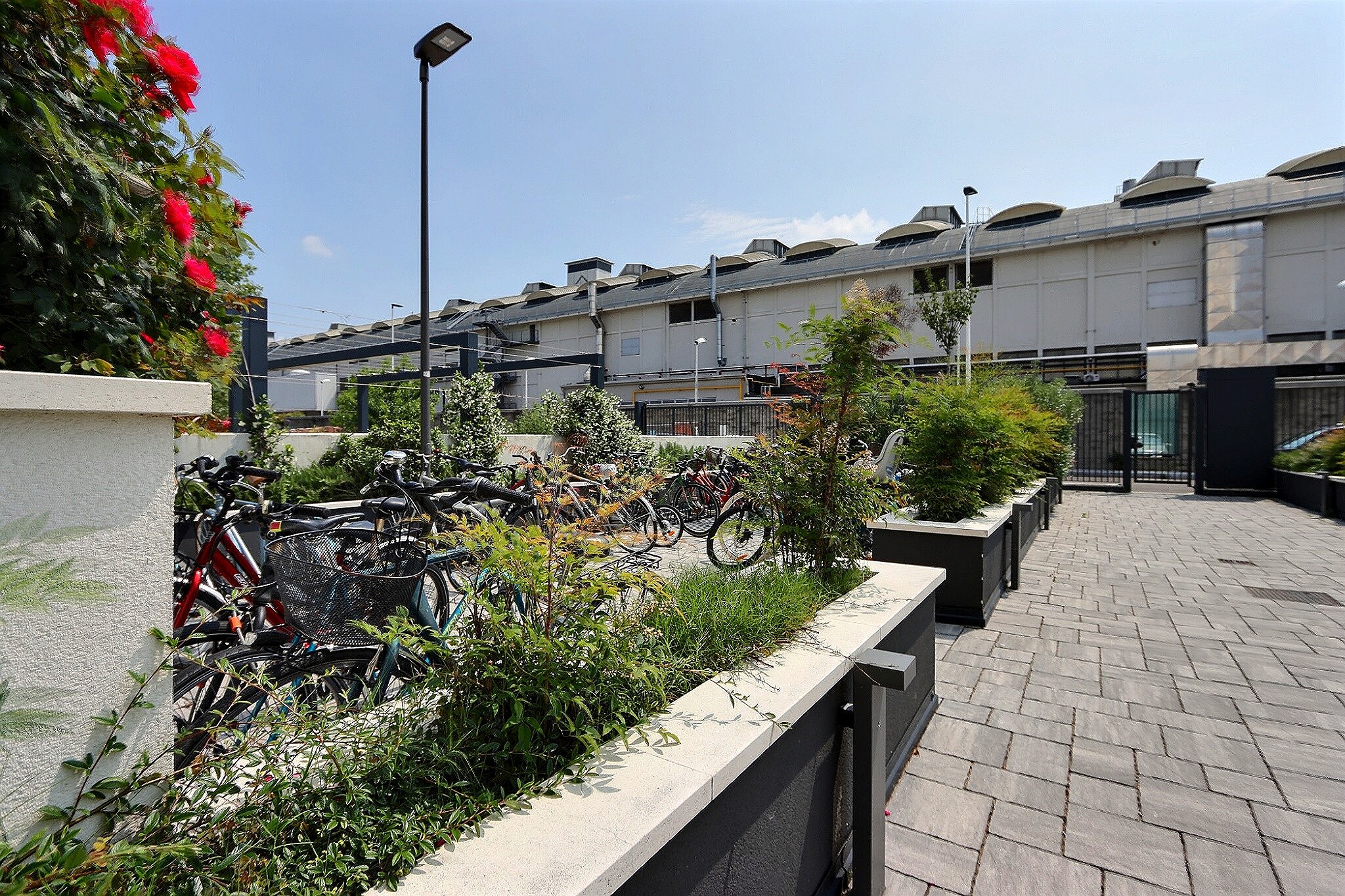 BSC BICOCCA 5.8 - immagine 8